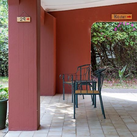 Gooderson Bushlands Game Lodge Hluhluwe Kültér fotó