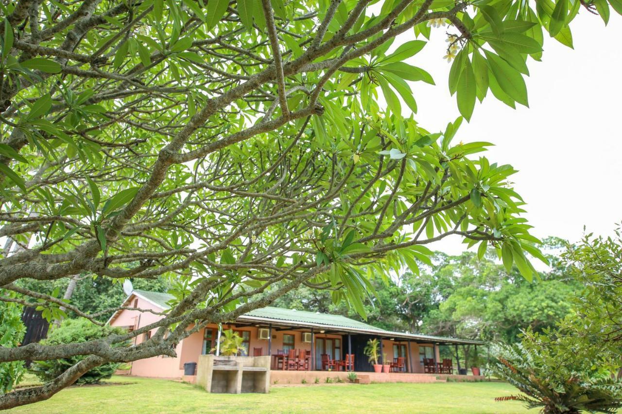 Gooderson Bushlands Game Lodge Hluhluwe Kültér fotó