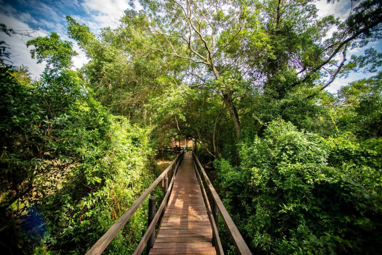 Gooderson Bushlands Game Lodge Hluhluwe Kültér fotó