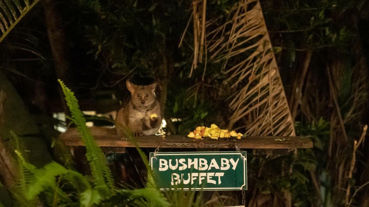 Gooderson Bushlands Game Lodge Hluhluwe Kültér fotó